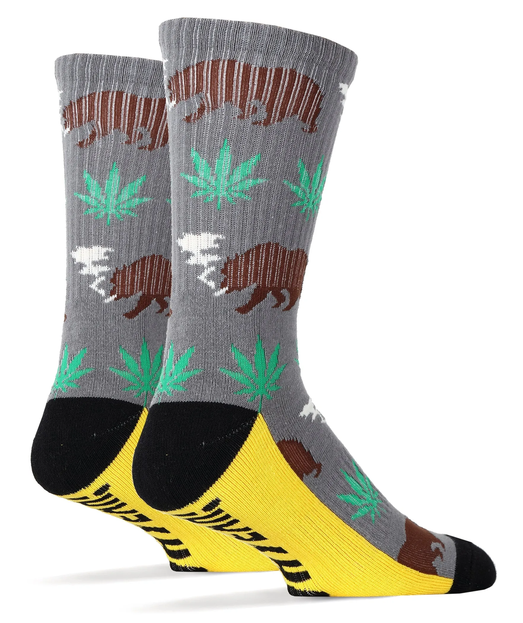 Beary California Socks