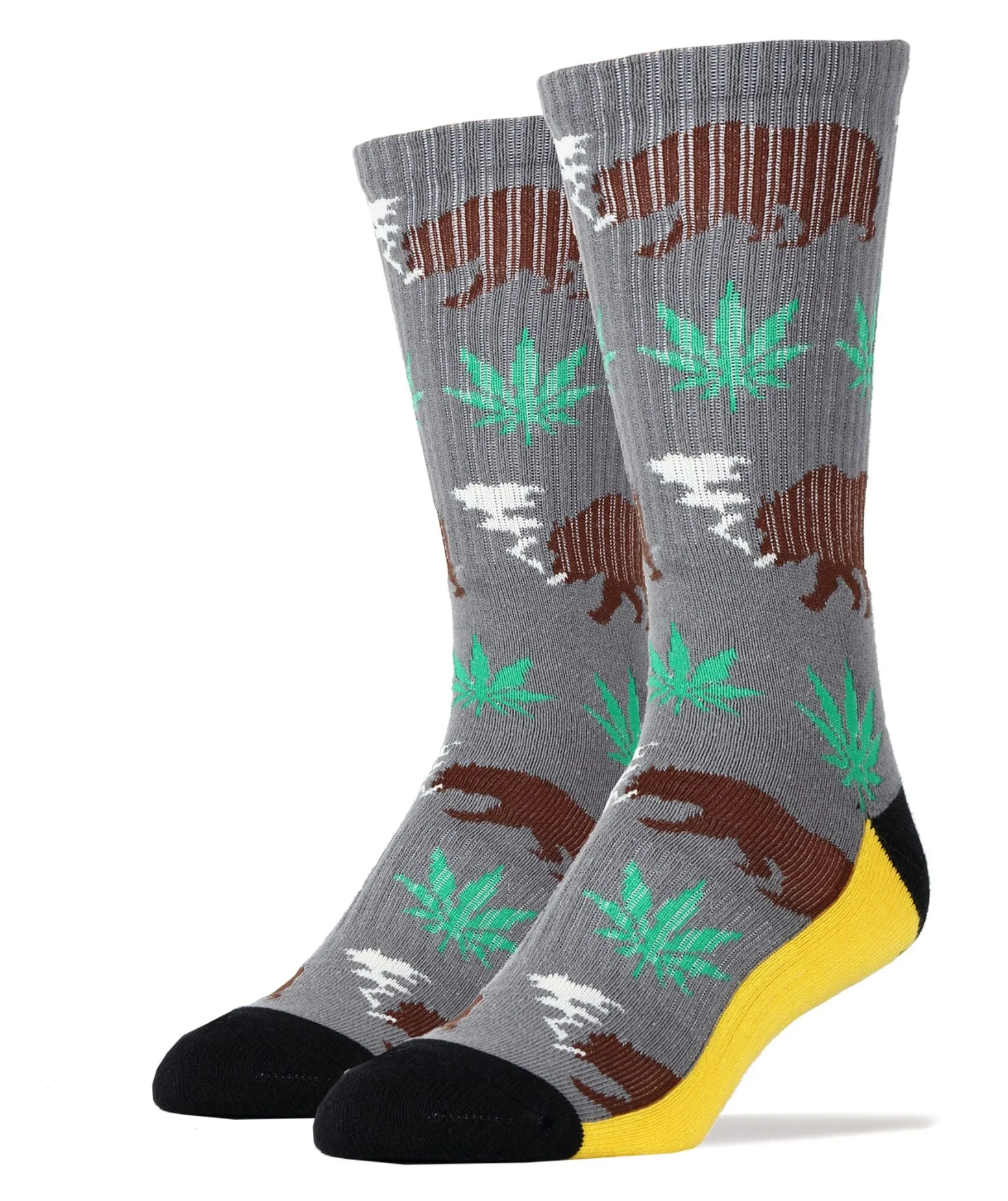 Beary California Socks